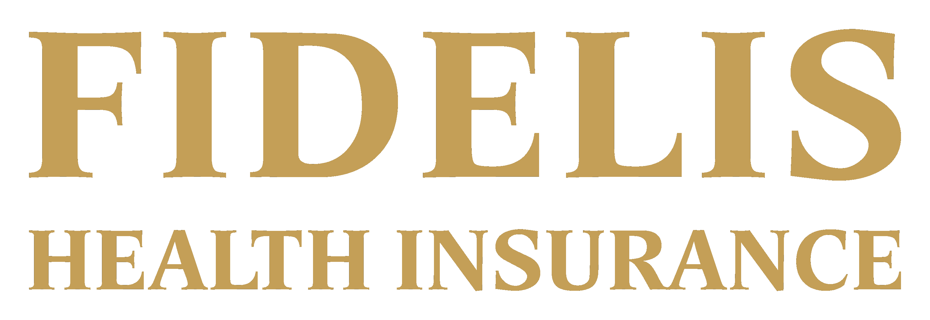 Fidelis Health Insurance