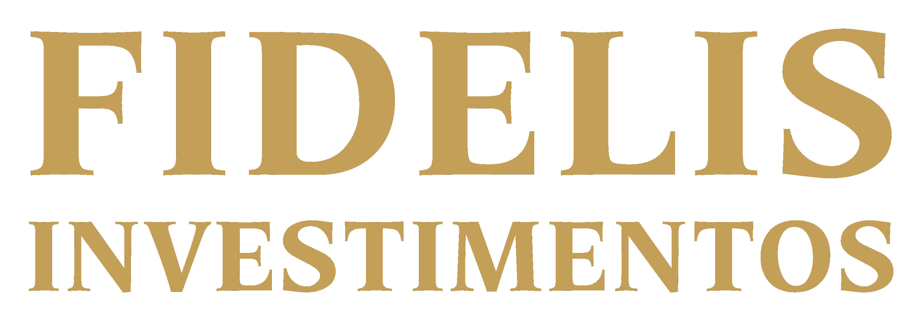 Fidelis Investimentos