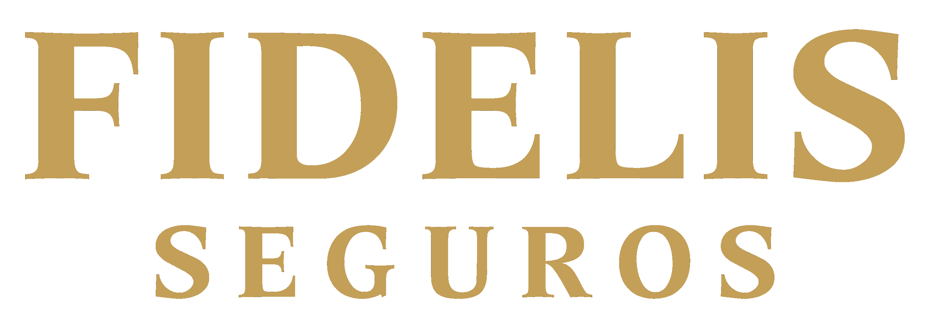 Fidelis Seguros
